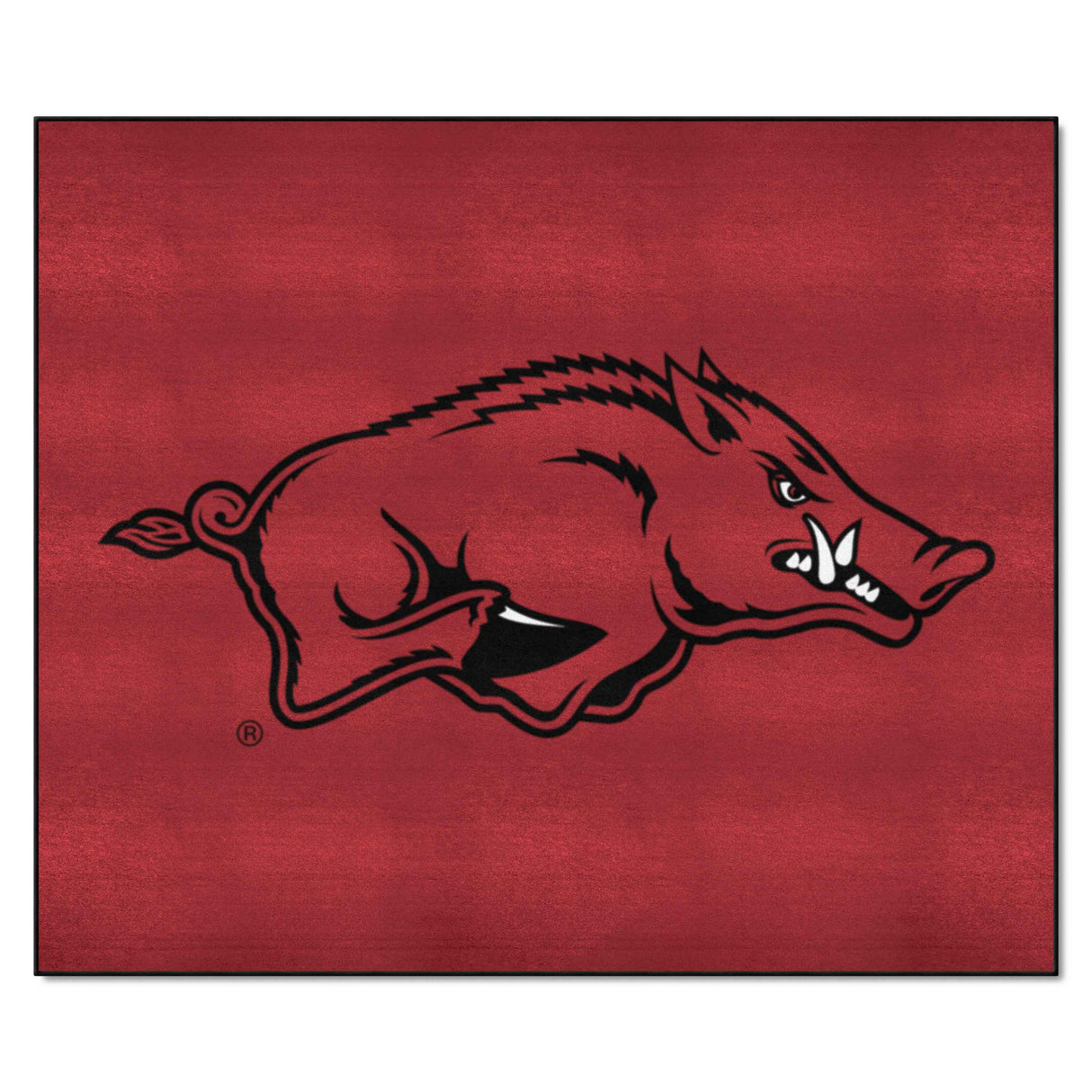 NCAA - Tailgater Mat 5' x 6'