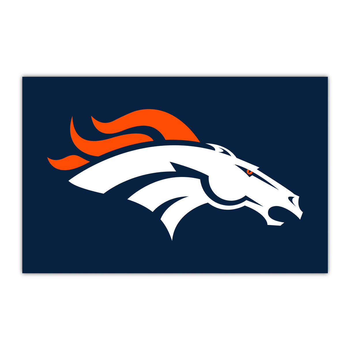 Denver Broncos HiDef Rookie