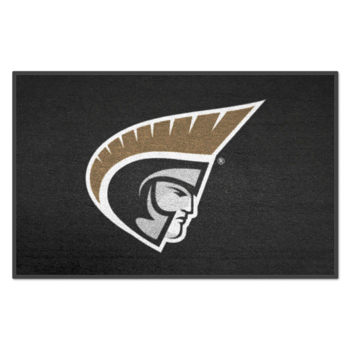 Anderson University Starter Mat