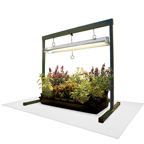 Grow Floor