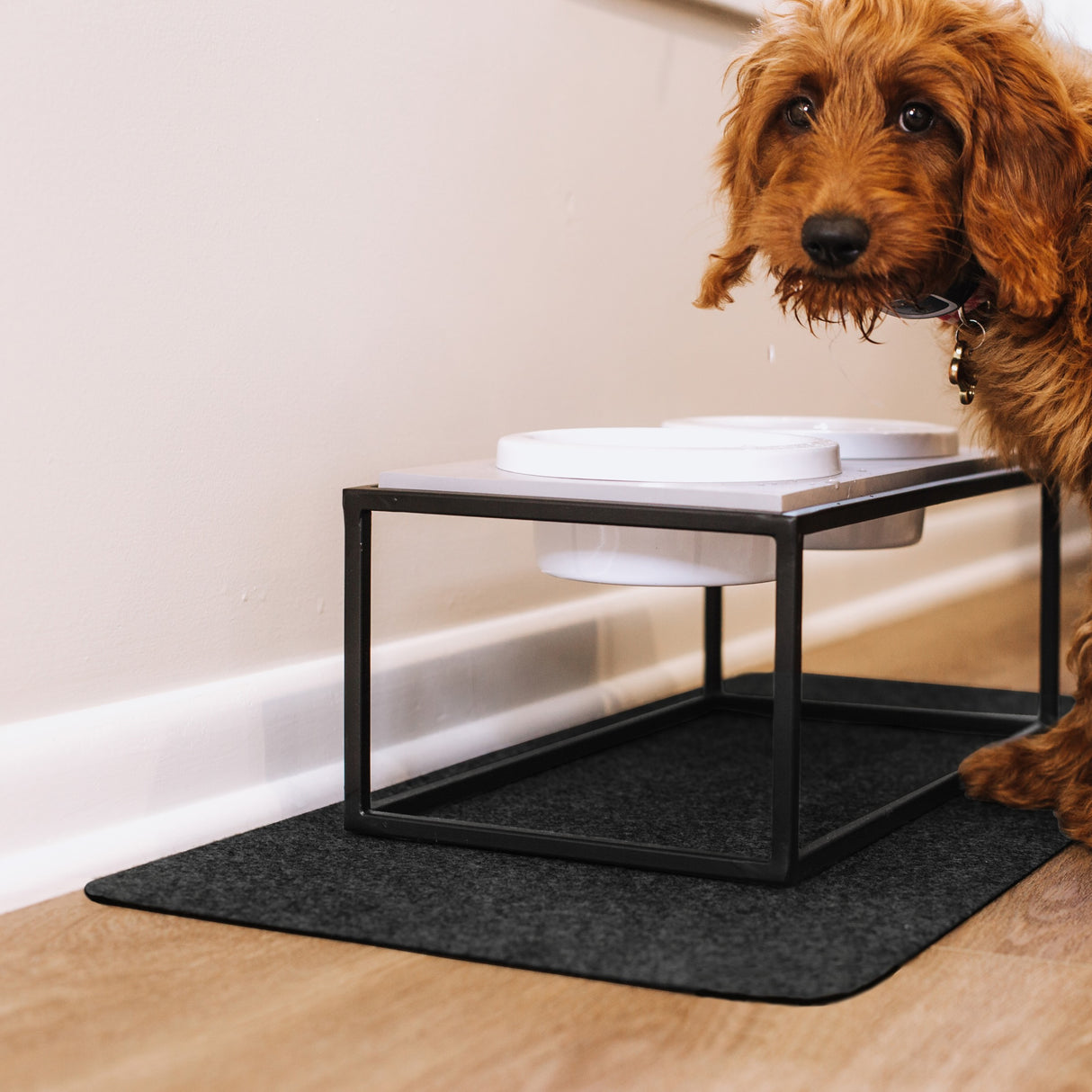 Drip & Dry Pet Bowl Mats