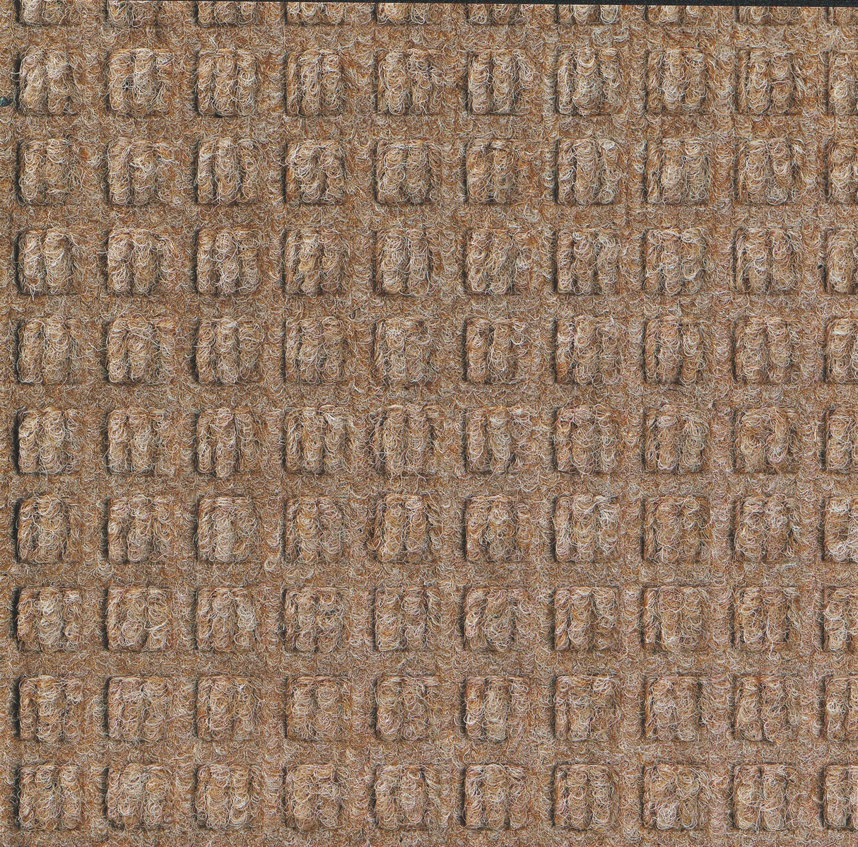 WaterHog Sculptures Mat