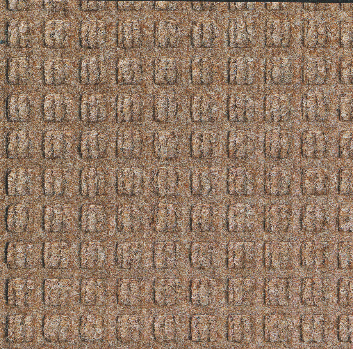 WaterHog Sculptures Mat