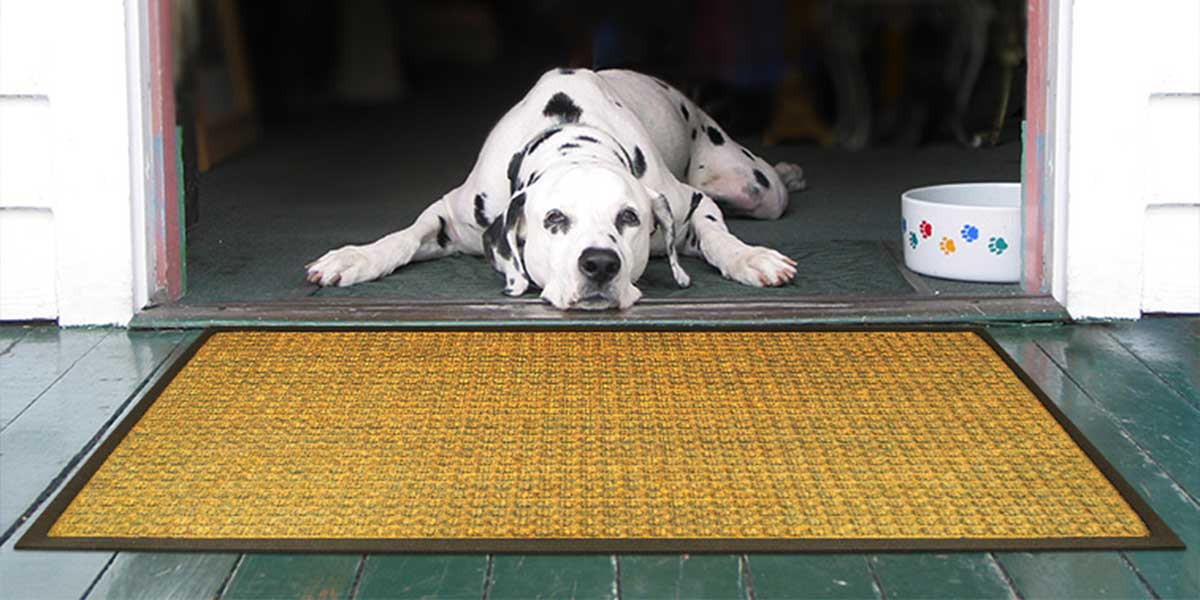 Waterhog Impressions HD Floor Mat Exterior Floor Mat Logo Mats