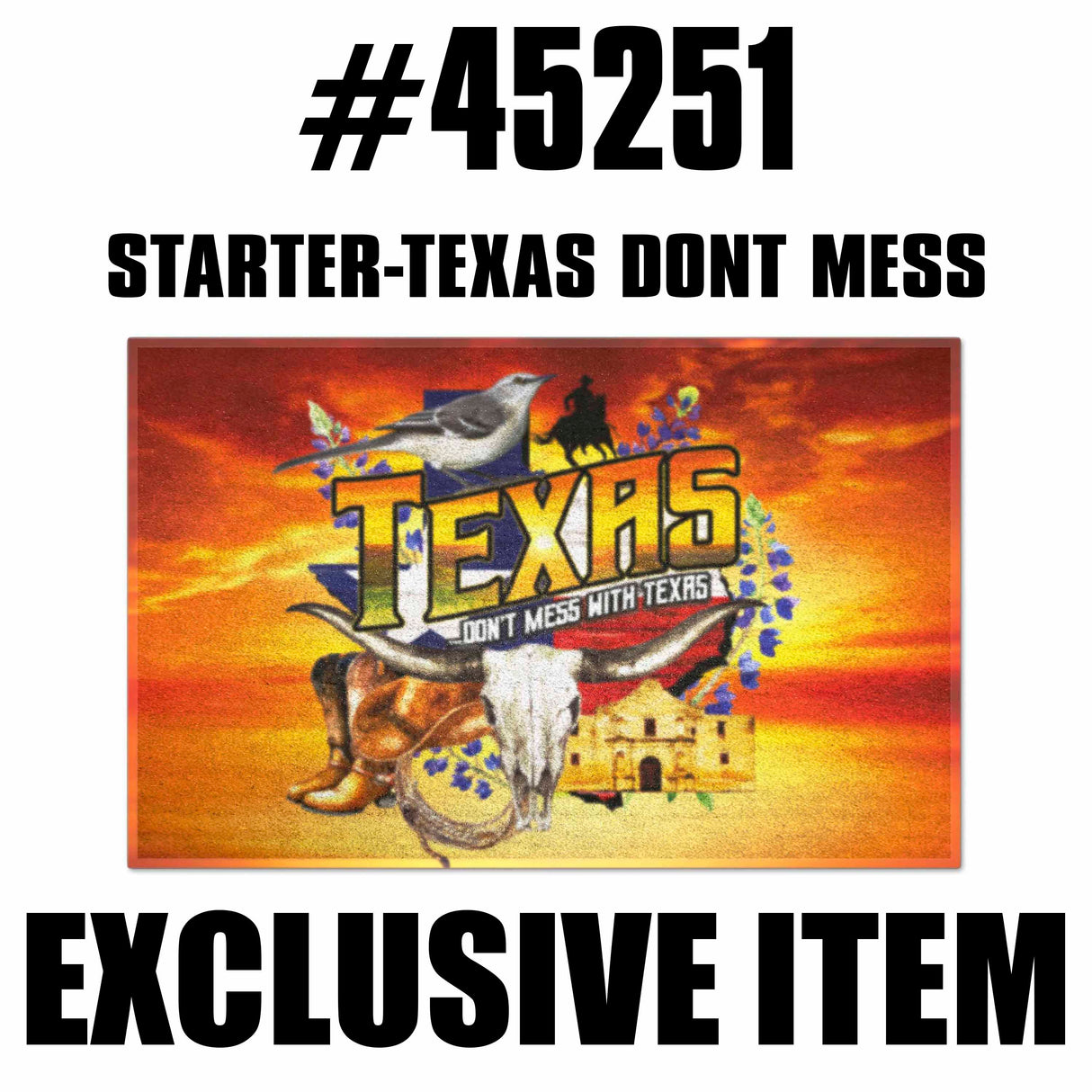 Texas Dont Mess 2  Floormat Starter