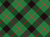 Grinch Plaid Berber Impressions Mat