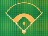Baseball Vinyl Mat