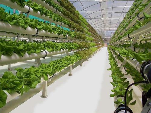 Grow Floor