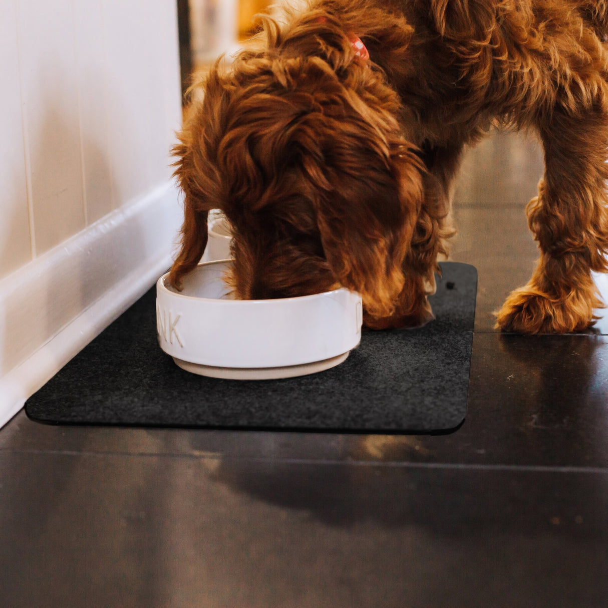 Drip & Dry Pet Bowl Mats