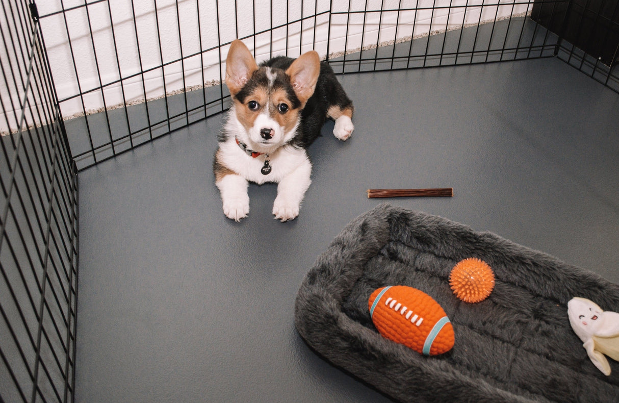 Kennel Lining Mat - Ceramic