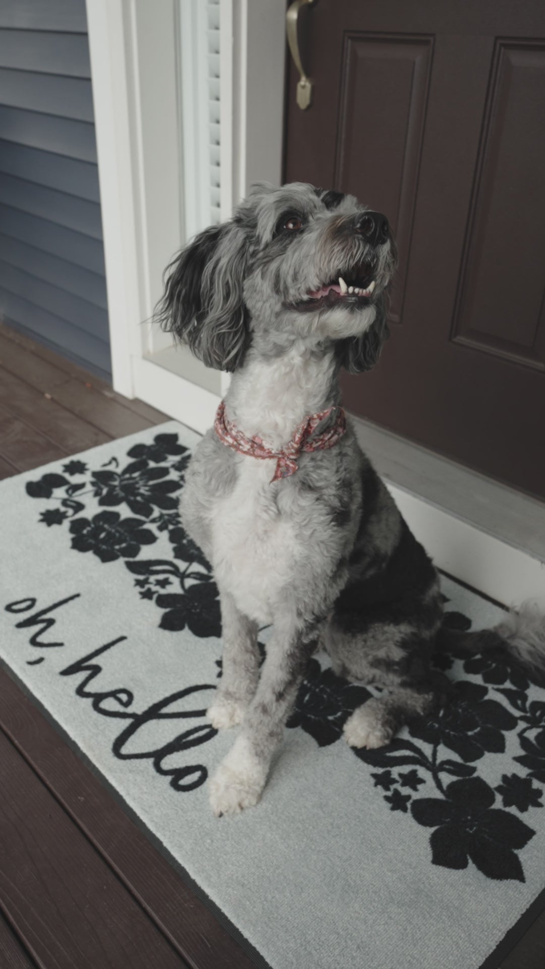 Oh Hello Berber Impressions Entry Mat