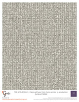 Surface (P1693)