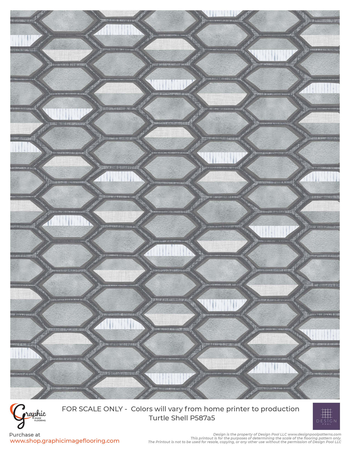 Turtle Shell (P587)